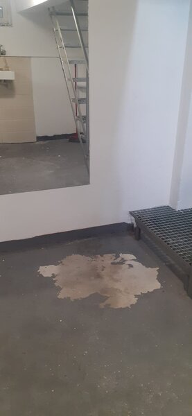 Ion Mihalache- Expozitiei