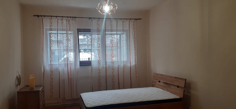 Ion Mihalache- Expozitiei